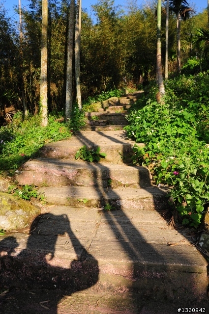 陪我減肥的D-90  雲林古坑  登山步道一遊[圖多]