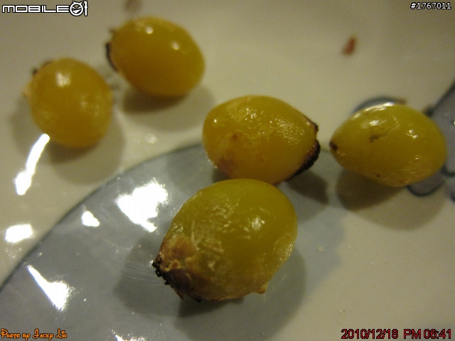 桃園-櫻之居~握壽司套餐 2010/12/18