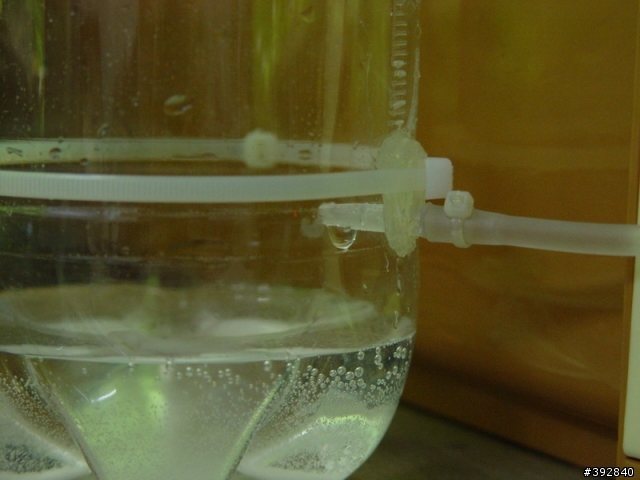 自創的"點滴式"Co2產生器