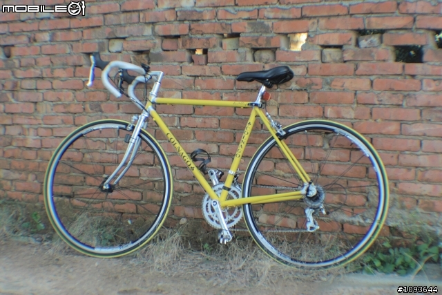 老鋼管翻新[我的假貨colnago，快樂騎乘中]    出沒地:往永安漁港沿途
