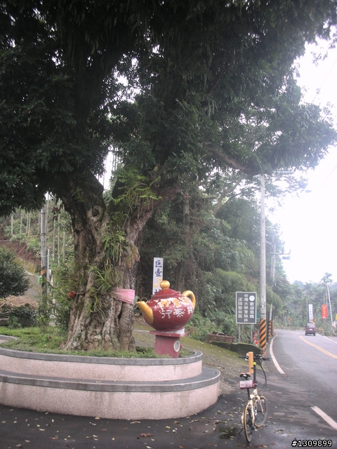 告別2010最後一場，絕色151竹溪杉自行車挑戰賽