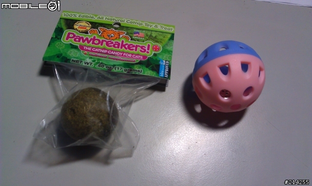 DIY改裝！超耐玩貓草球 便宜又實用的小玩具