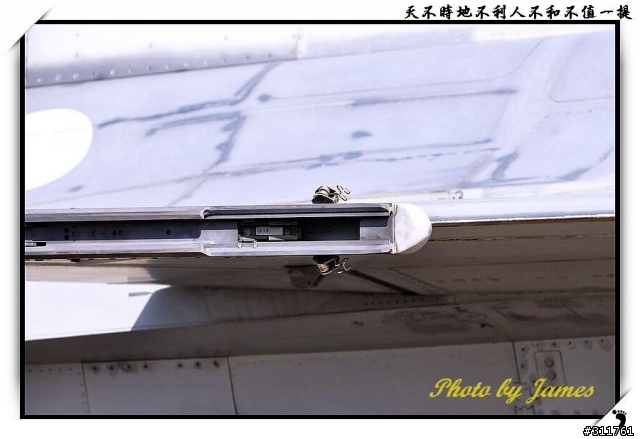新竹打鳥趣(圖多礙眼請見諒)