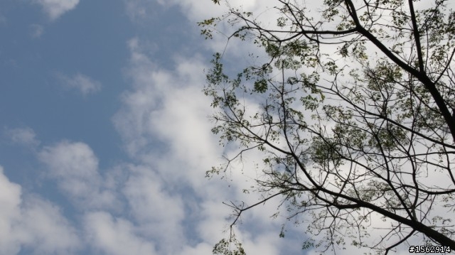 資訊展敗了 nx100了 路上試拍…開心~