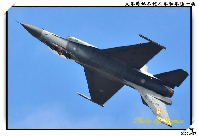 新竹打鳥趣(圖多礙眼請見諒)