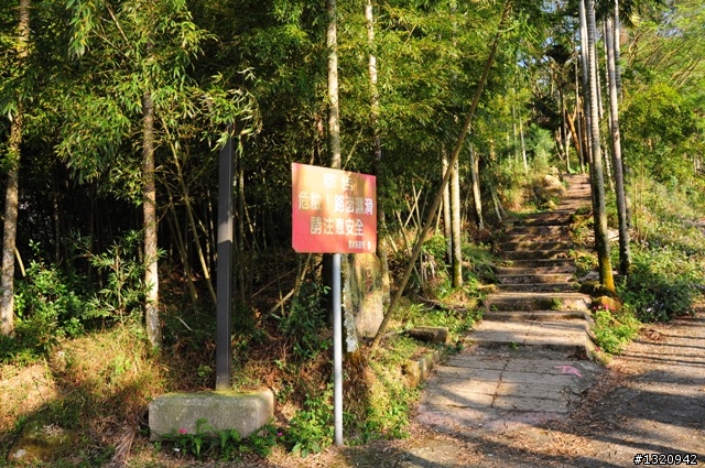 陪我減肥的D-90  雲林古坑  登山步道一遊[圖多]