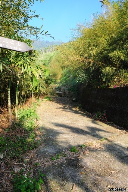 陪我減肥的D-90  雲林古坑  登山步道一遊[圖多]