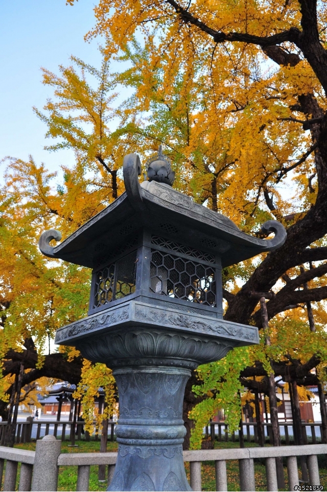 （分享） 京都＋大阪＋神戶＋奈良之賞楓旅 ~{圖多}~ D90 + 17-55mm F2.8