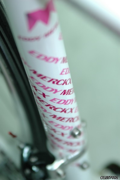 [分享] 鄰家小妹的粉紅新戰駒 Eddy Merckx EFX-1 (圖多)