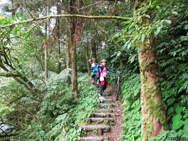 一延再延、千辛萬苦的林北肉腳團桶後越嶺！