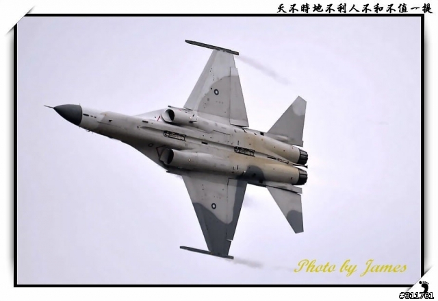 新竹打鳥趣(圖多礙眼請見諒)