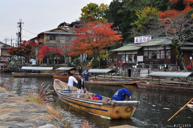 （分享） 京都＋大阪＋神戶＋奈良之賞楓旅 ~{圖多}~ D90 + 17-55mm F2.8