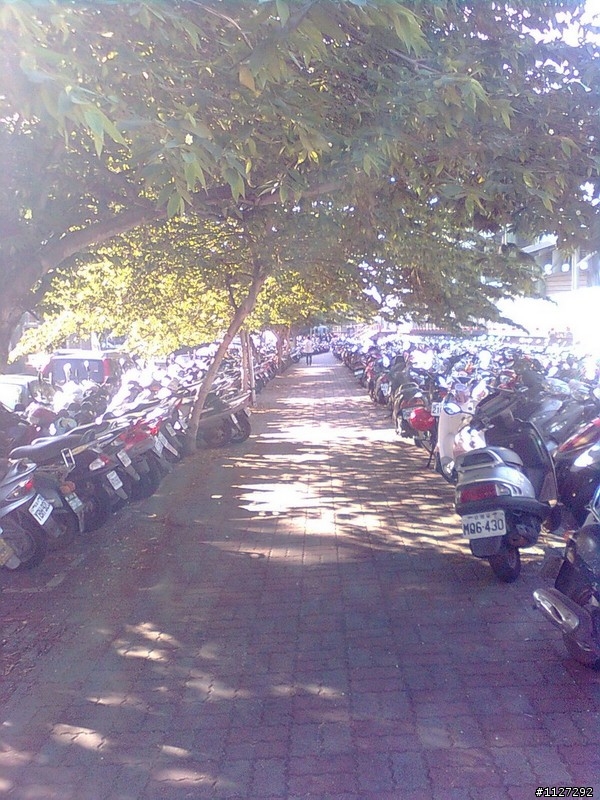 號稱, 號稱啦, 全台唯一環市自行車道....
