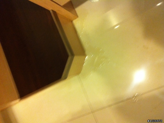 新店某知名建案(碧潭有約消防撒水器爆掉)房子淹水......