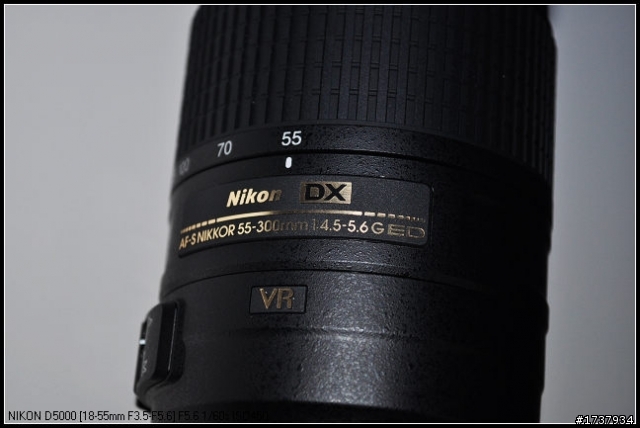 買了新鏡頭55-300