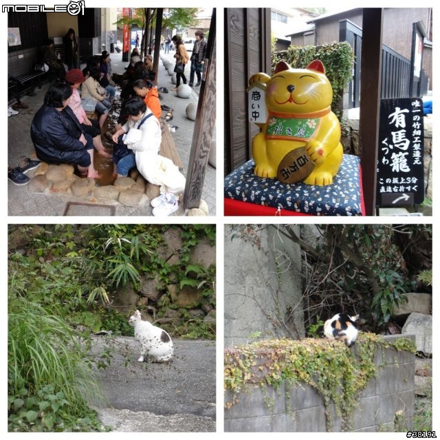 [遊記] 日本京都、奈良五日遊 （賞楓之旅）『圖多，慎入』
