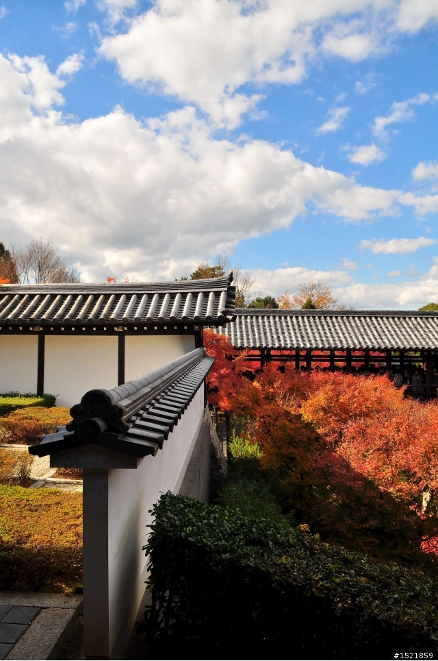 （分享） 京都＋大阪＋神戶＋奈良之賞楓旅 ~{圖多}~ D90 + 17-55mm F2.8