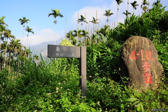 陪我減肥的D-90  雲林古坑  登山步道一遊[圖多]