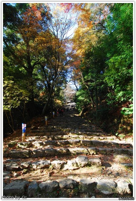 2010-深秋的日本行-單攻
