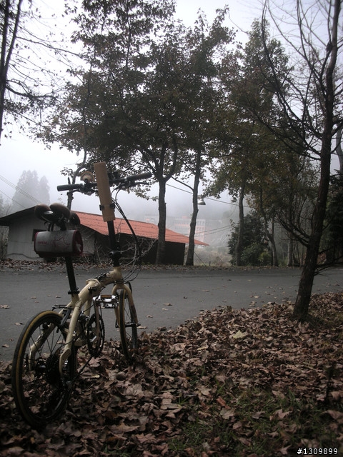 告別2010最後一場，絕色151竹溪杉自行車挑戰賽