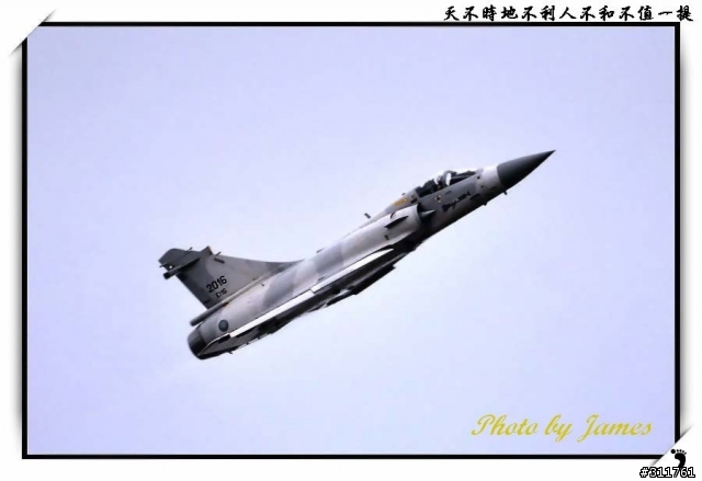 新竹打鳥趣(圖多礙眼請見諒)