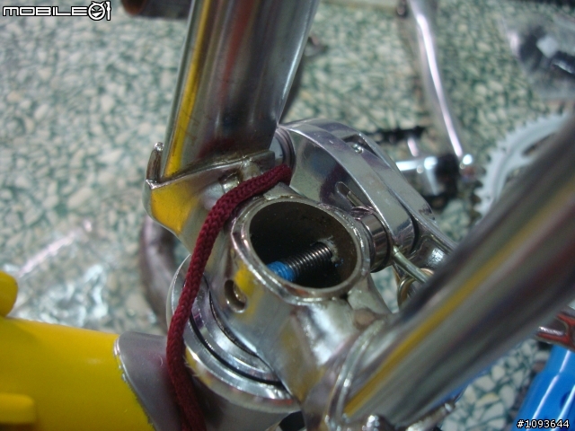 老鋼管翻新[我的假貨colnago，快樂騎乘中]    出沒地:往永安漁港沿途