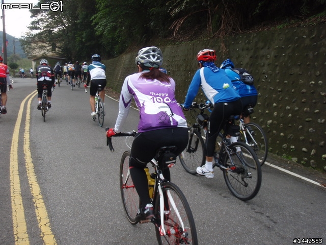 12-05 陽金p字 照片，春風車隊邊騎邊拍