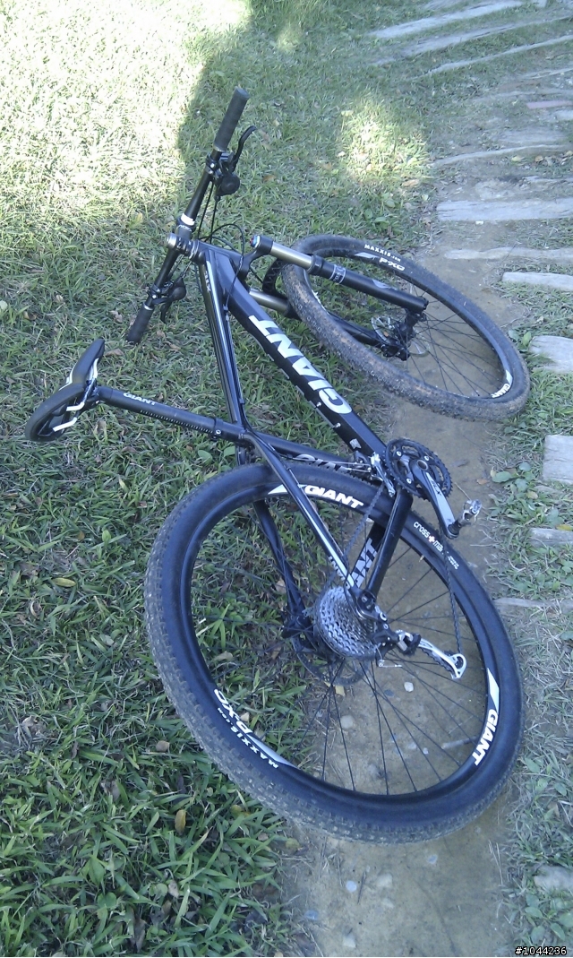 [心得] 中埔山測試 Anthem X 29er 和 XTC 29er