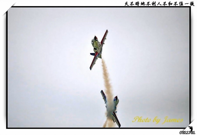 新竹打鳥趣(圖多礙眼請見諒)