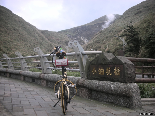 2010年12/05 NeverStop  永不放棄挑戰陽金P字山道