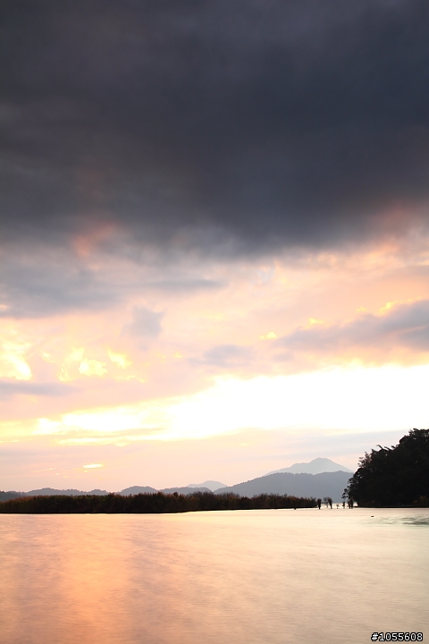 今天高美溼地好美