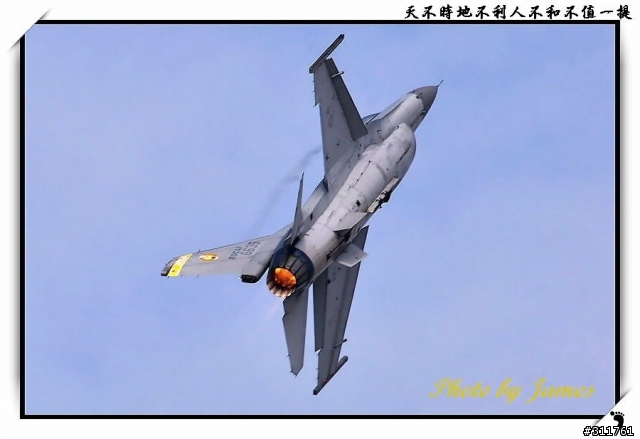 新竹打鳥趣(圖多礙眼請見諒)