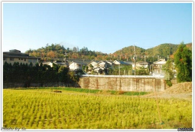 2010-深秋的日本行-單攻
