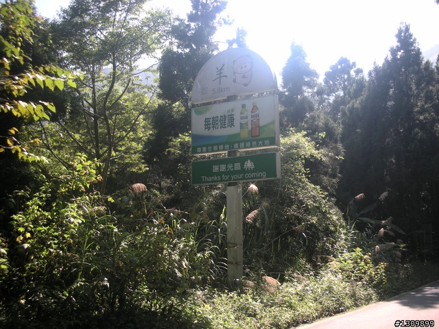 告別2010最後一場，絕色151竹溪杉自行車挑戰賽