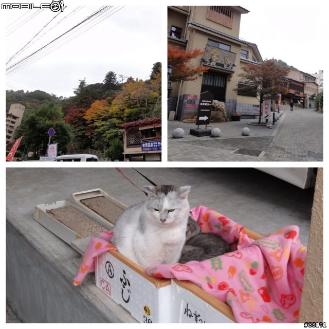 [遊記] 日本京都、奈良五日遊 （賞楓之旅）『圖多，慎入』