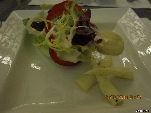 澳盛卡友 日月行館 行館套房 一泊ニ食 (圖多)