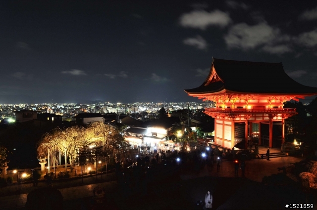 （分享） 京都＋大阪＋神戶＋奈良之賞楓旅 ~{圖多}~ D90 + 17-55mm F2.8