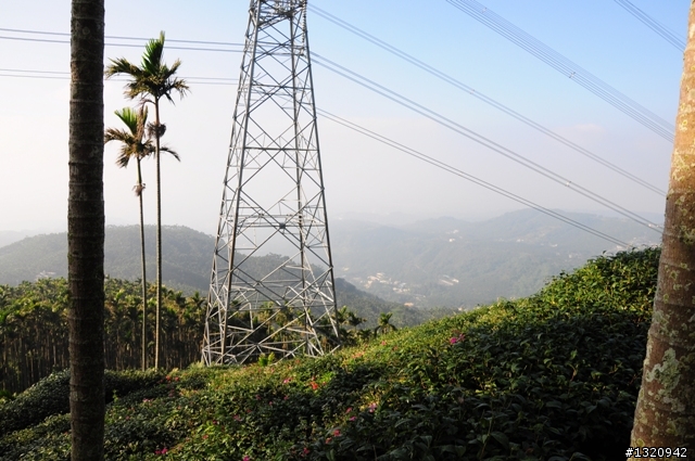 陪我減肥的D-90  雲林古坑  登山步道一遊[圖多]