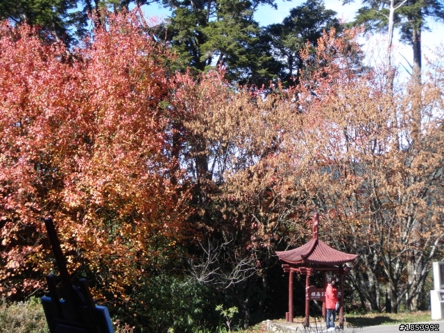 12月20 初次造訪大雪山