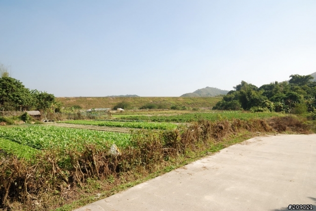 大陸遊-廣東惠州市惠東縣 鄉村遊記 (未完編輯中)