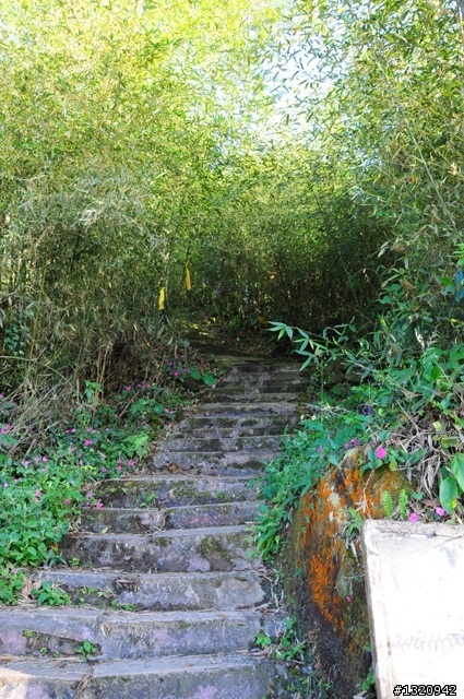 陪我減肥的D-90  雲林古坑  登山步道一遊[圖多]