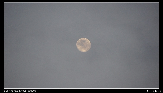 三重市228公園和幸福水漾公園