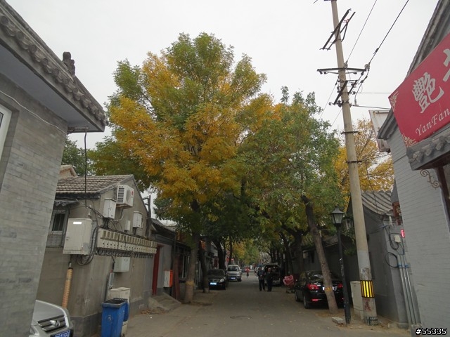 WX5 10月北京 隨便拍 60張圖