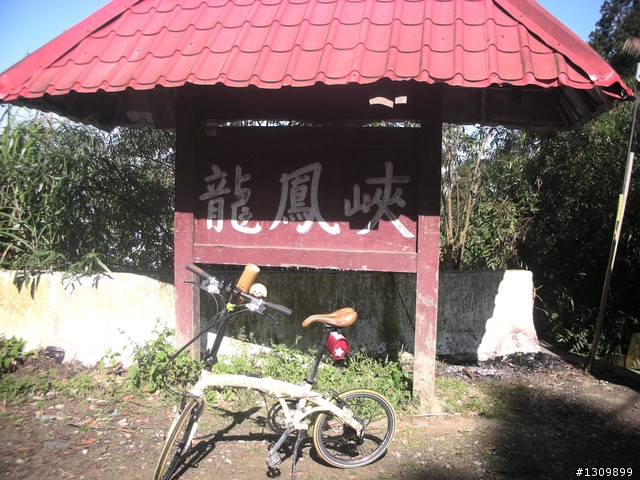 告別2010最後一場，絕色151竹溪杉自行車挑戰賽