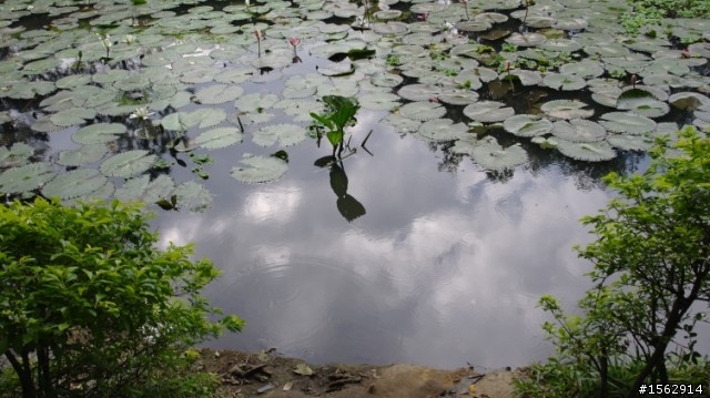 資訊展敗了 nx100了 路上試拍…開心~