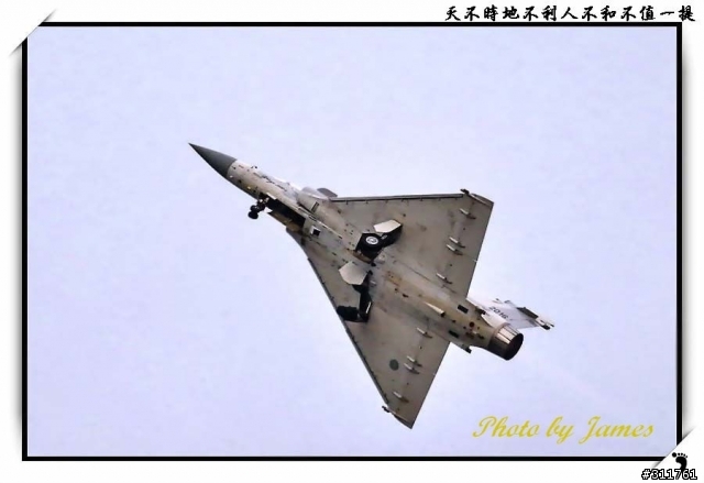 新竹打鳥趣(圖多礙眼請見諒)