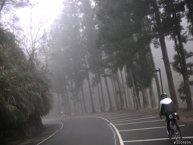 告別2010最後一場，絕色151竹溪杉自行車挑戰賽