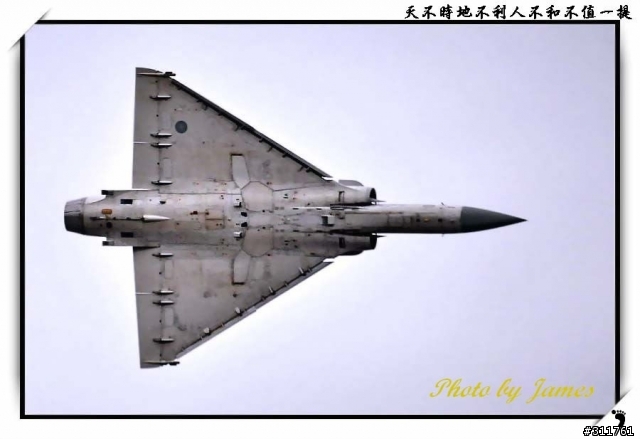 新竹打鳥趣(圖多礙眼請見諒)