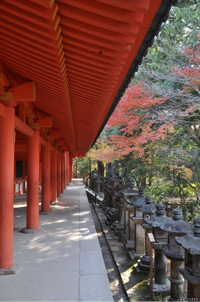 （分享） 京都＋大阪＋神戶＋奈良之賞楓旅 ~{圖多}~ D90 + 17-55mm F2.8