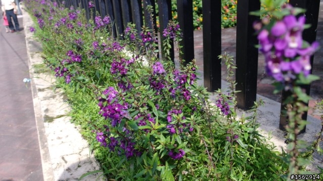 資訊展敗了 nx100了 路上試拍…開心~